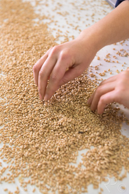 January 2021 / OUTER_HARBOR_SA_787