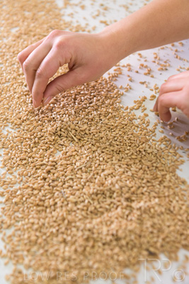 January 2021 / OUTER_HARBOR_SA_788