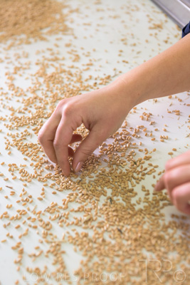 January 2021 / OUTER_HARBOR_SA_790