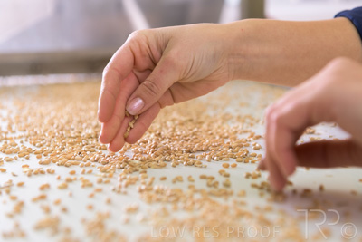 January 2021 / OUTER_HARBOR_SA_794