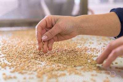 January 2021 / OUTER_HARBOR_SA_796