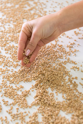 January 2021 / OUTER_HARBOR_SA_798