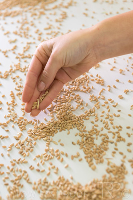 January 2021 / OUTER_HARBOR_SA_799