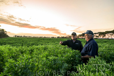 October 2022 / KANGAROO-FLAT-0002