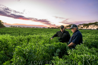 October 2022 / KANGAROO-FLAT-0003