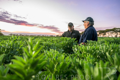 October 2022 / KANGAROO-FLAT-0005