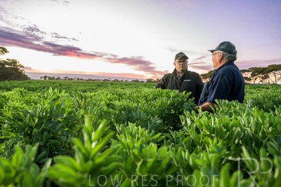 October 2022 / KANGAROO-FLAT-0007