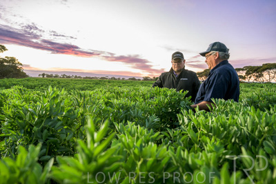 October 2022 / KANGAROO-FLAT-0008