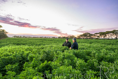 October 2022 / KANGAROO-FLAT-0009