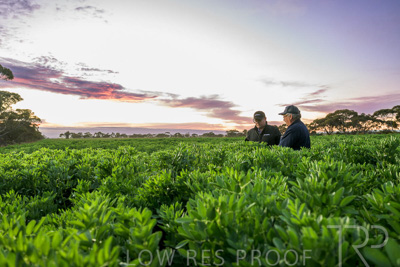 October 2022 / KANGAROO-FLAT-0011