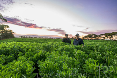 October 2022 / KANGAROO-FLAT-0013