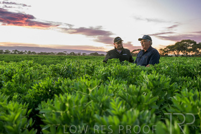 October 2022 / KANGAROO-FLAT-0017