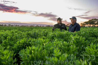 October 2022 / KANGAROO-FLAT-0018