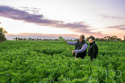 October 2022 / KANGAROO-FLAT-0023