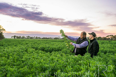 October 2022 / KANGAROO-FLAT-0025