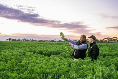 October 2022 / KANGAROO-FLAT-0026