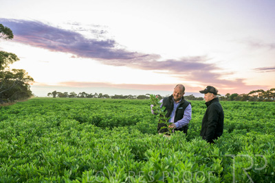 October 2022 / KANGAROO-FLAT-0028