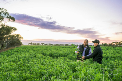 October 2022 / KANGAROO-FLAT-0031