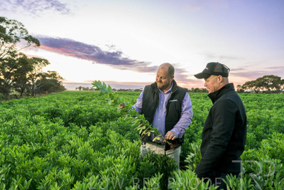 October 2022 / KANGAROO-FLAT-0032