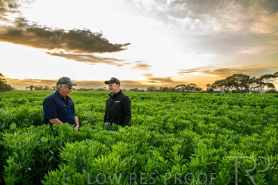 October 2022 / KANGAROO-FLAT-0043