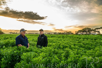 October 2022 / KANGAROO-FLAT-0044