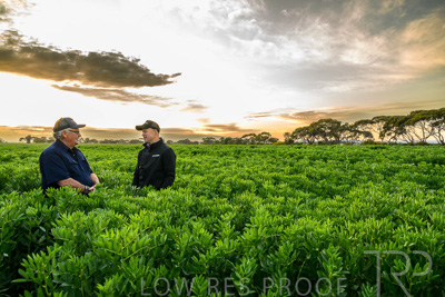 October 2022 / KANGAROO-FLAT-0048