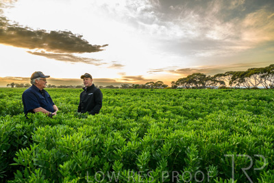 October 2022 / KANGAROO-FLAT-0050