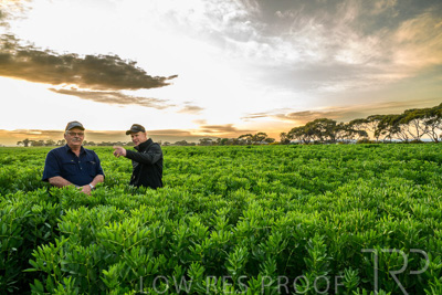 October 2022 / KANGAROO-FLAT-0051