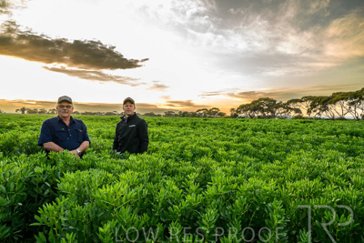 October 2022 / KANGAROO-FLAT-0053