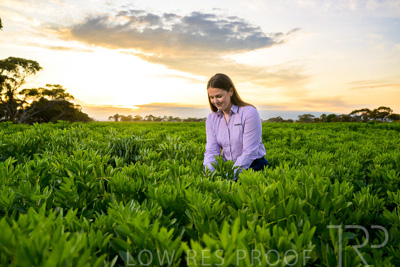 October 2022 / KANGAROO-FLAT-0060