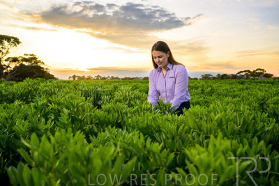 October 2022 / KANGAROO-FLAT-0062