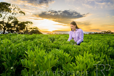 October 2022 / KANGAROO-FLAT-0064