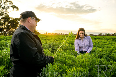 October 2022 / KANGAROO-FLAT-0067