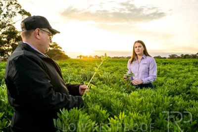 October 2022 / KANGAROO-FLAT-0070