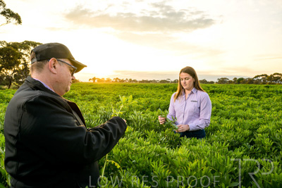 October 2022 / KANGAROO-FLAT-0072