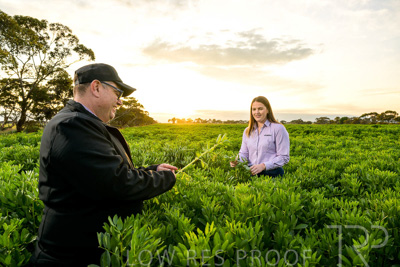 October 2022 / KANGAROO-FLAT-0078