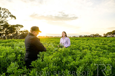 October 2022 / KANGAROO-FLAT-0082