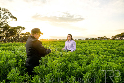 October 2022 / KANGAROO-FLAT-0083