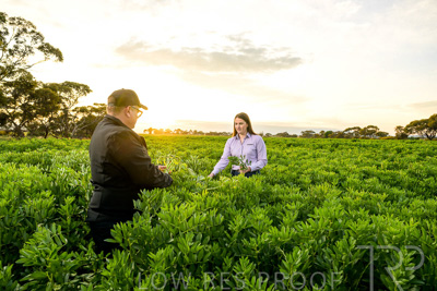 October 2022 / KANGAROO-FLAT-0086