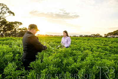 October 2022 / KANGAROO-FLAT-0087