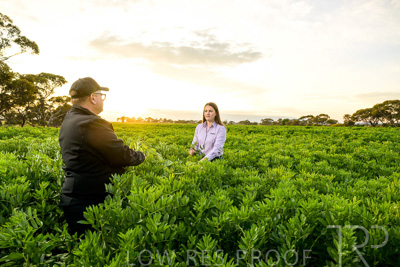 October 2022 / KANGAROO-FLAT-0089