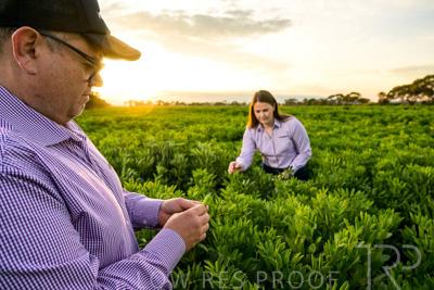 October 2022 / KANGAROO-FLAT-0093