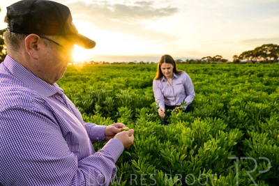 October 2022 / KANGAROO-FLAT-0096