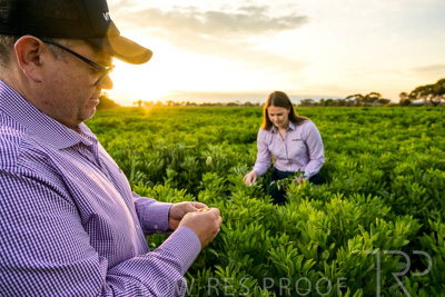 October 2022 / KANGAROO-FLAT-0097