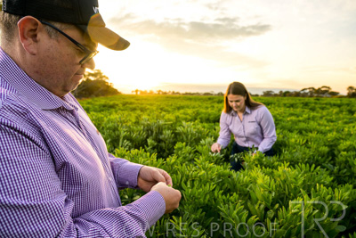 October 2022 / KANGAROO-FLAT-0098