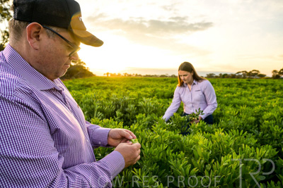 October 2022 / KANGAROO-FLAT-0101