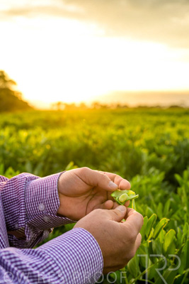 October 2022 / KANGAROO-FLAT-0105