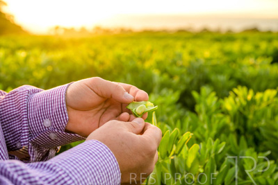 October 2022 / KANGAROO-FLAT-0111