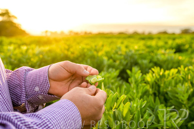 October 2022 / KANGAROO-FLAT-0112