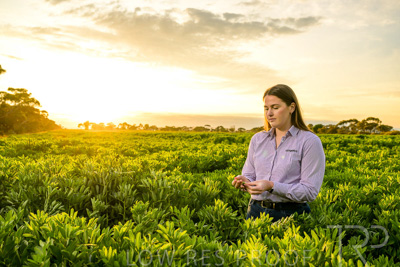 October 2022 / KANGAROO-FLAT-0116